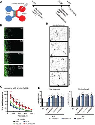 A spatially specified systems pharmacology therapy for axonal recovery after injury